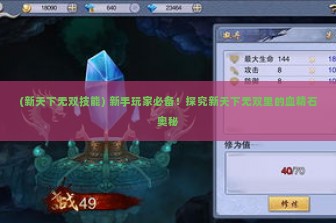 (新天下无双技能) 新手玩家必备！探究新天下无双里的血精石奥秘