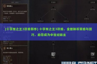 (十字军之王3攻略新手) 十字军之王3攻略，全面解析策略与技巧，助您成为中世纪霸主