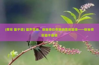 (夜莺 笛子谱) 笛声悠扬，唤醒春日夜晚的美丽旋律——探秘夜莺笛子曲谱